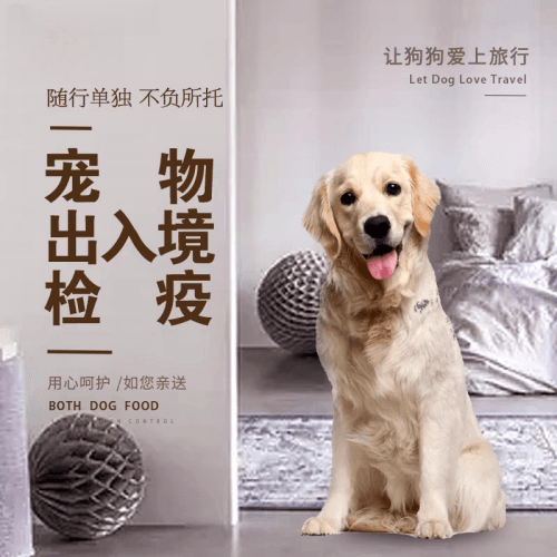 宁德市　宠物托运到哥伦比亚猫狗宠物入境规定和